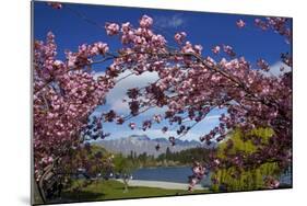 Spring Blossom, Lake Wakatipu and the Remarkables, Queenstown, Otago, South Island, New Zealand-David Wall-Mounted Photographic Print