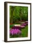 Spring Blossom of Hyacinth-neirfy-Framed Photographic Print