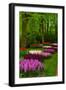 Spring Blossom of Hyacinth-neirfy-Framed Photographic Print