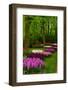 Spring Blossom of Hyacinth-neirfy-Framed Photographic Print