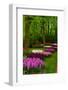 Spring Blossom of Hyacinth-neirfy-Framed Photographic Print