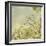 Spring Blossom on Tree 002-Tom Quartermaine-Framed Giclee Print