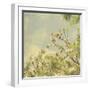 Spring Blossom on Tree 002-Tom Quartermaine-Framed Giclee Print