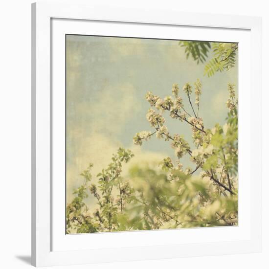 Spring Blossom on Tree 002-Tom Quartermaine-Framed Giclee Print