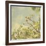 Spring Blossom on Tree 002-Tom Quartermaine-Framed Giclee Print