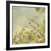 Spring Blossom on Tree 002-Tom Quartermaine-Framed Giclee Print