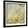 Spring Blossom on Tree 002-Tom Quartermaine-Framed Giclee Print