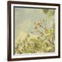 Spring Blossom on Tree 002-Tom Quartermaine-Framed Giclee Print