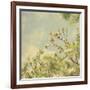 Spring Blossom on Tree 002-Tom Quartermaine-Framed Giclee Print