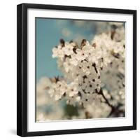 Spring Blossom on Tree 006-Tom Quartermaine-Framed Giclee Print