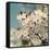 Spring Blossom on Tree 006-Tom Quartermaine-Framed Stretched Canvas