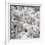 Spring Blossom on Tree 008-Tom Quartermaine-Framed Premium Giclee Print