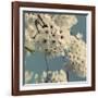 Spring Blossom on Tree 009-Tom Quartermaine-Framed Giclee Print