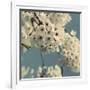 Spring Blossom on Tree 009-Tom Quartermaine-Framed Giclee Print