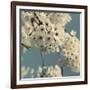 Spring Blossom on Tree 009-Tom Quartermaine-Framed Giclee Print