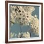 Spring Blossom on Tree 009-Tom Quartermaine-Framed Giclee Print