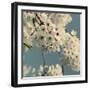 Spring Blossom on Tree 009-Tom Quartermaine-Framed Giclee Print