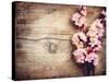 Spring Blossom over Wood Background-Subbotina Anna-Stretched Canvas