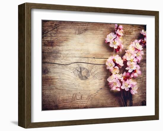 Spring Blossom over Wood Background-Subbotina Anna-Framed Art Print