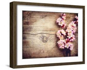 Spring Blossom over Wood Background-Subbotina Anna-Framed Art Print