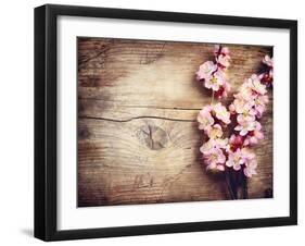 Spring Blossom over Wood Background-Subbotina Anna-Framed Art Print