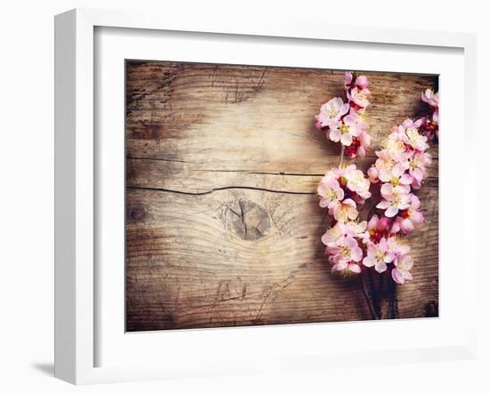 Spring Blossom over Wood Background-Subbotina Anna-Framed Art Print