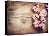 Spring Blossom over Wood Background-Subbotina Anna-Stretched Canvas