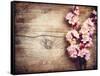 Spring Blossom over Wood Background-Subbotina Anna-Framed Stretched Canvas