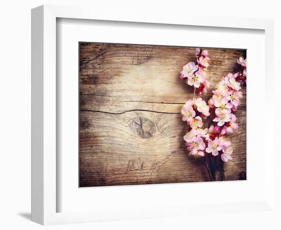 Spring Blossom over Wood Background-Subbotina Anna-Framed Art Print