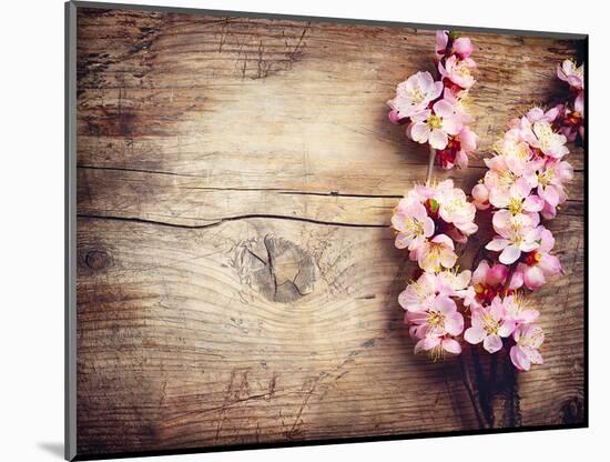 Spring Blossom over Wood Background-Subbotina Anna-Mounted Art Print