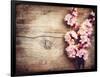 Spring Blossom over Wood Background-Subbotina Anna-Framed Art Print