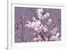 Spring Blossom - Pink-Joseph Eta-Framed Giclee Print