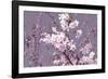 Spring Blossom - Pink-Joseph Eta-Framed Giclee Print