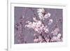 Spring Blossom - Pink-Joseph Eta-Framed Giclee Print