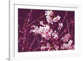 Spring Blossom - Purple-Joseph Eta-Framed Giclee Print