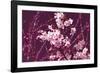 Spring Blossom - Purple-Joseph Eta-Framed Giclee Print