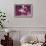 Spring Blossom - Purple-Joseph Eta-Framed Giclee Print displayed on a wall