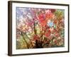 Spring Blossom Sky, 2018-Helen White-Framed Giclee Print