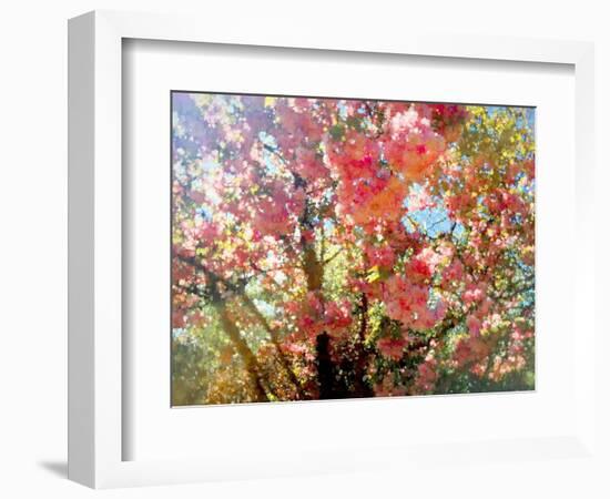 Spring Blossom Sky, 2018-Helen White-Framed Giclee Print