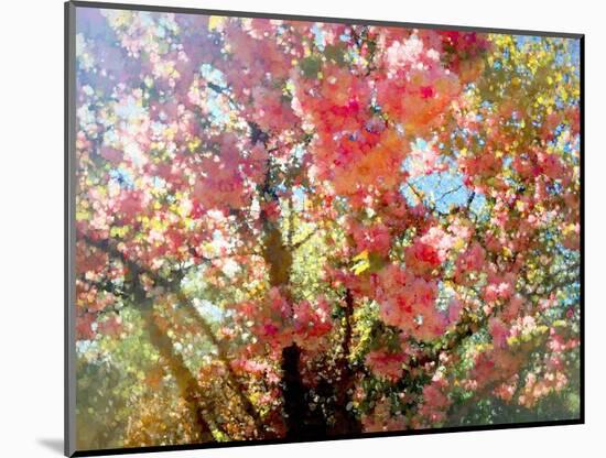 Spring Blossom Sky, 2018-Helen White-Mounted Giclee Print