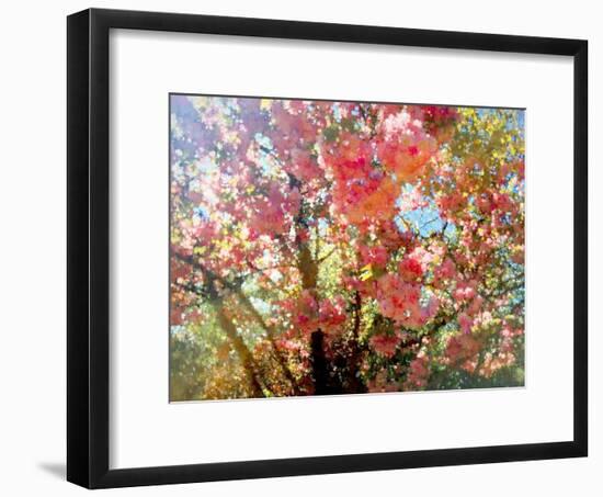 Spring Blossom Sky, 2018-Helen White-Framed Giclee Print