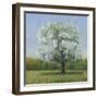 Spring Blossom Tree II-Tim OToole-Framed Art Print