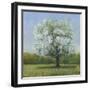 Spring Blossom Tree II-Tim OToole-Framed Art Print
