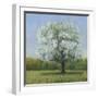 Spring Blossom Tree II-Tim OToole-Framed Art Print