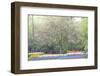 Spring Blossom Tree-neirfy-Framed Photographic Print