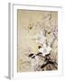 Spring Blossom-Haruyo Morita-Framed Art Print