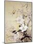 Spring Blossom-Haruyo Morita-Mounted Art Print