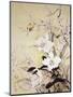 Spring Blossom-Haruyo Morita-Mounted Art Print