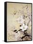 Spring Blossom-Haruyo Morita-Framed Stretched Canvas