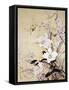 Spring Blossom-Haruyo Morita-Framed Stretched Canvas